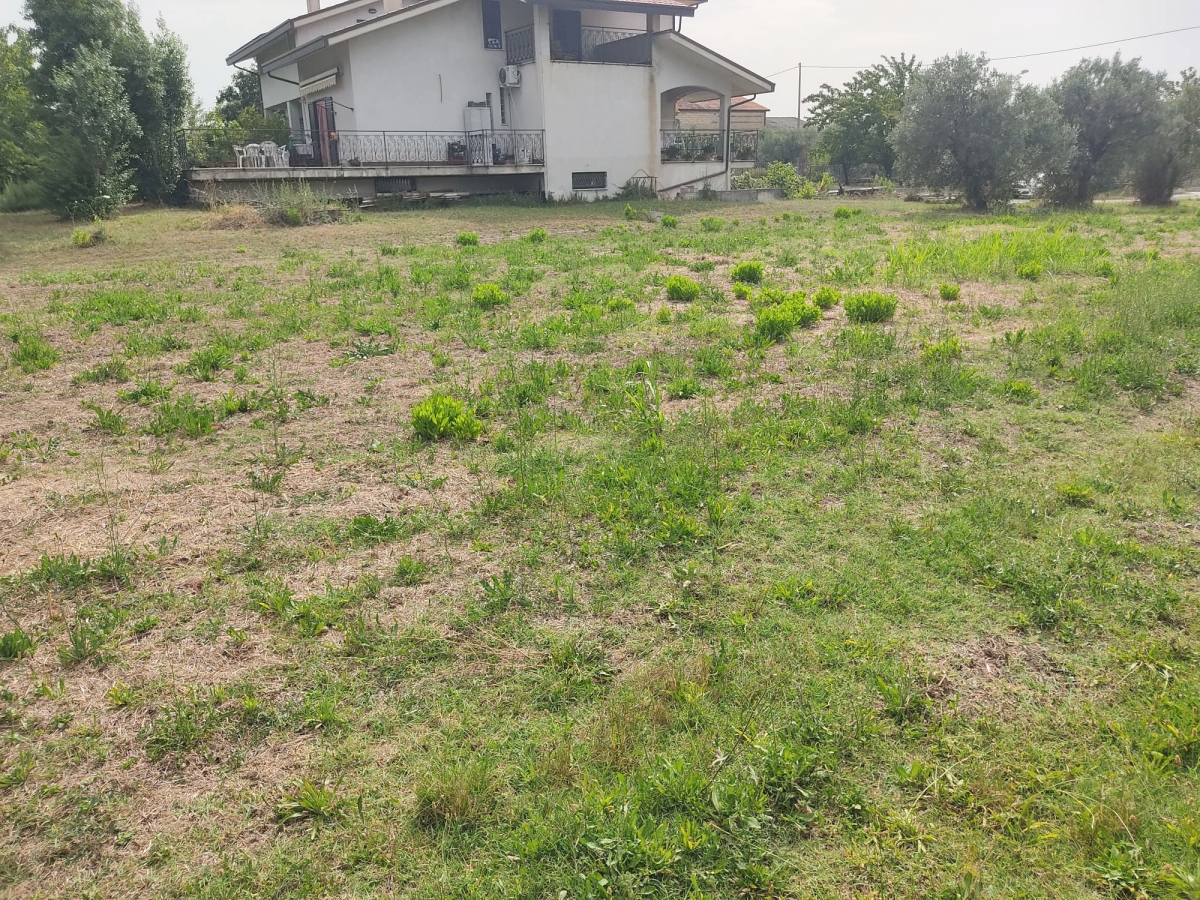 properties