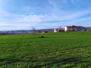 properties
