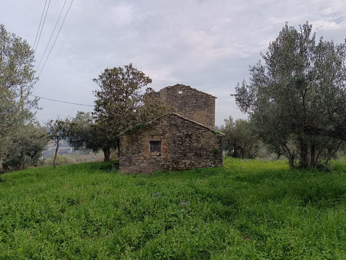 properties