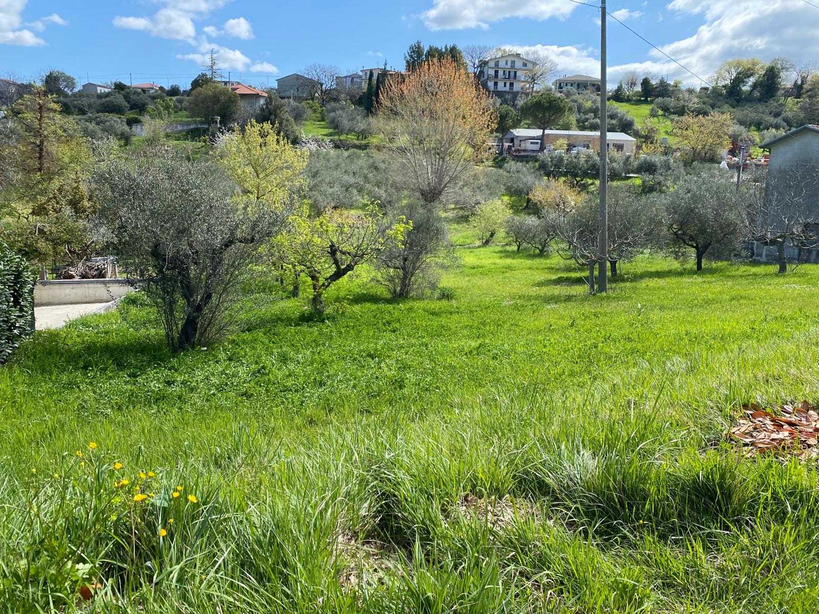 properties