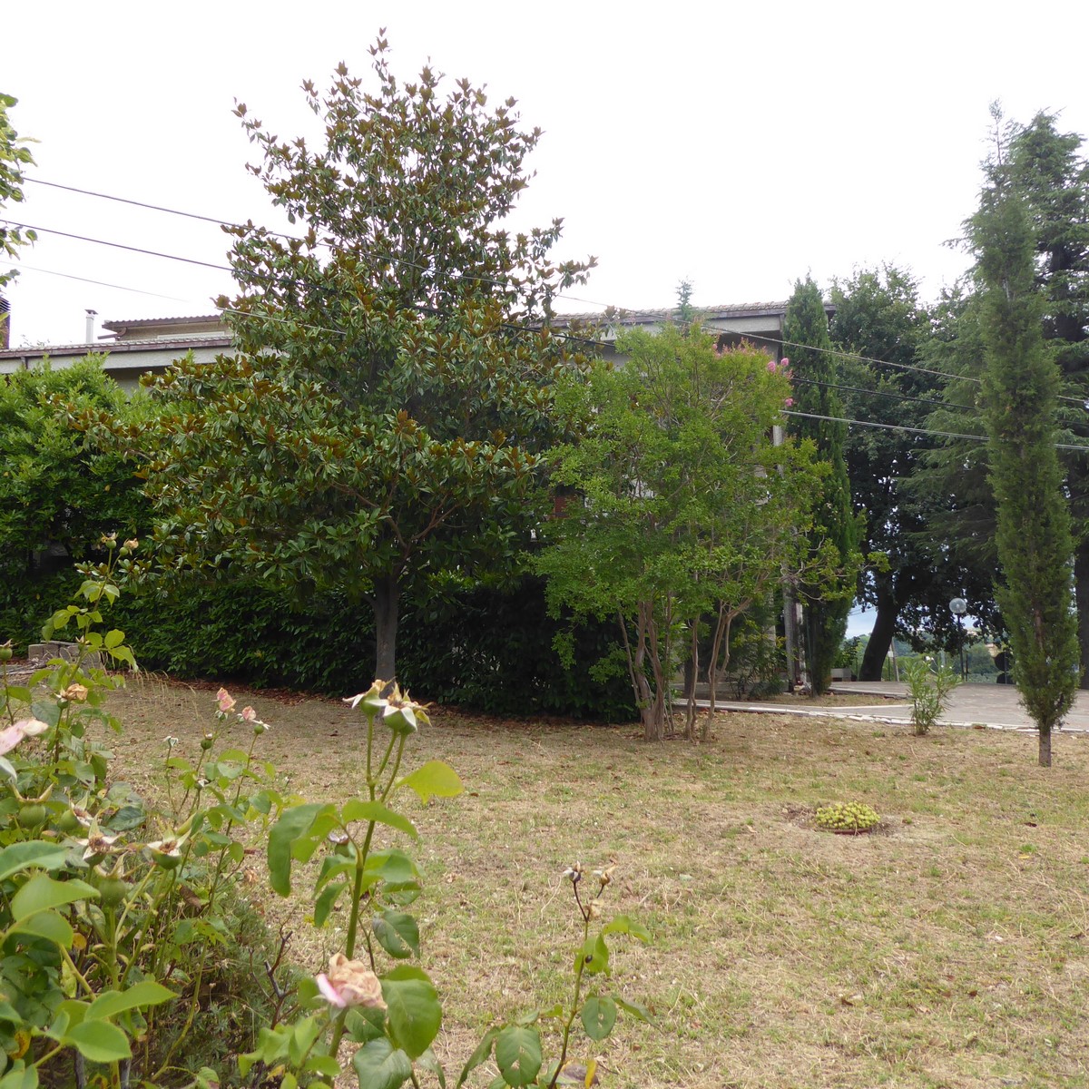 properties
