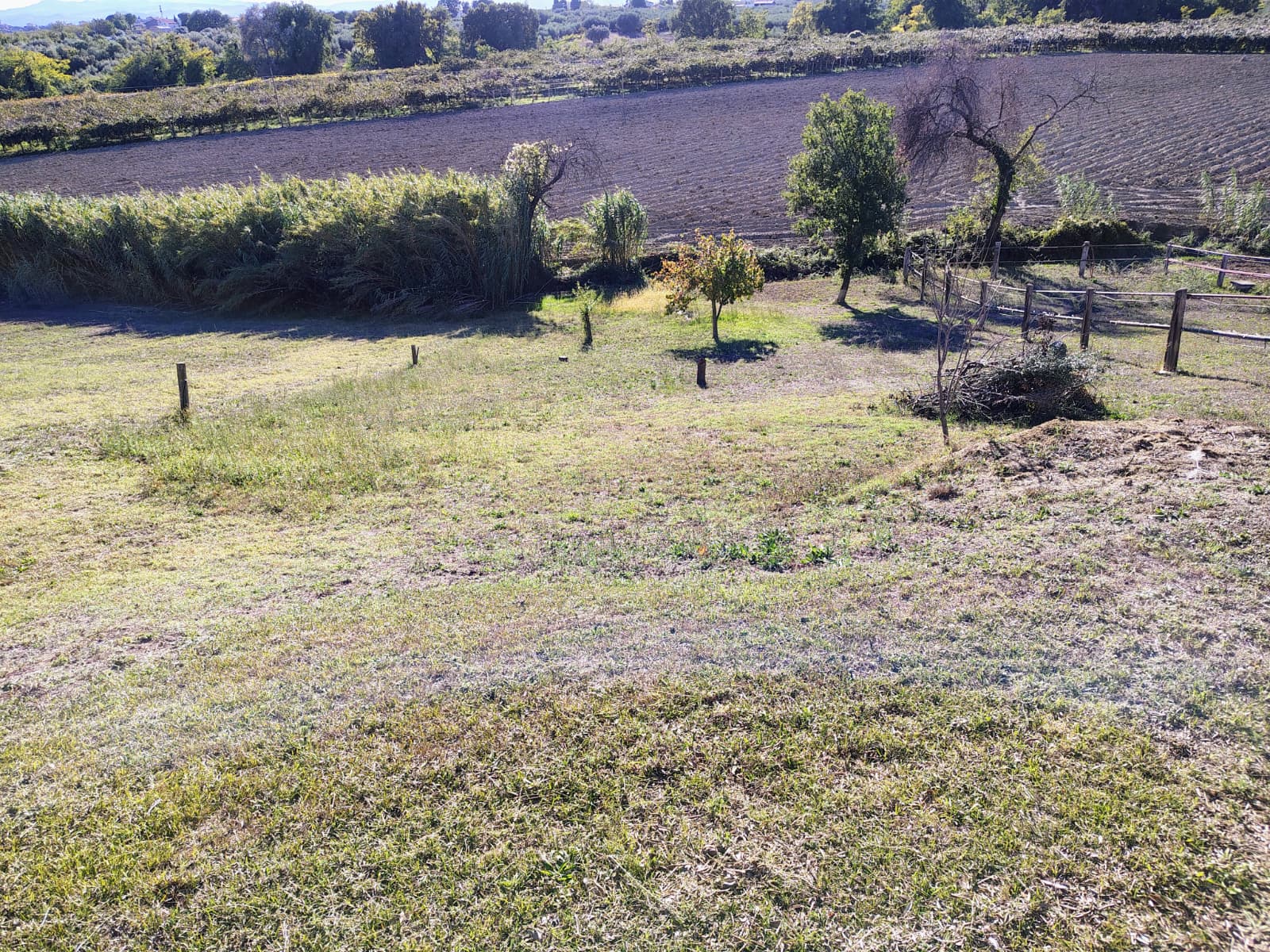 properties