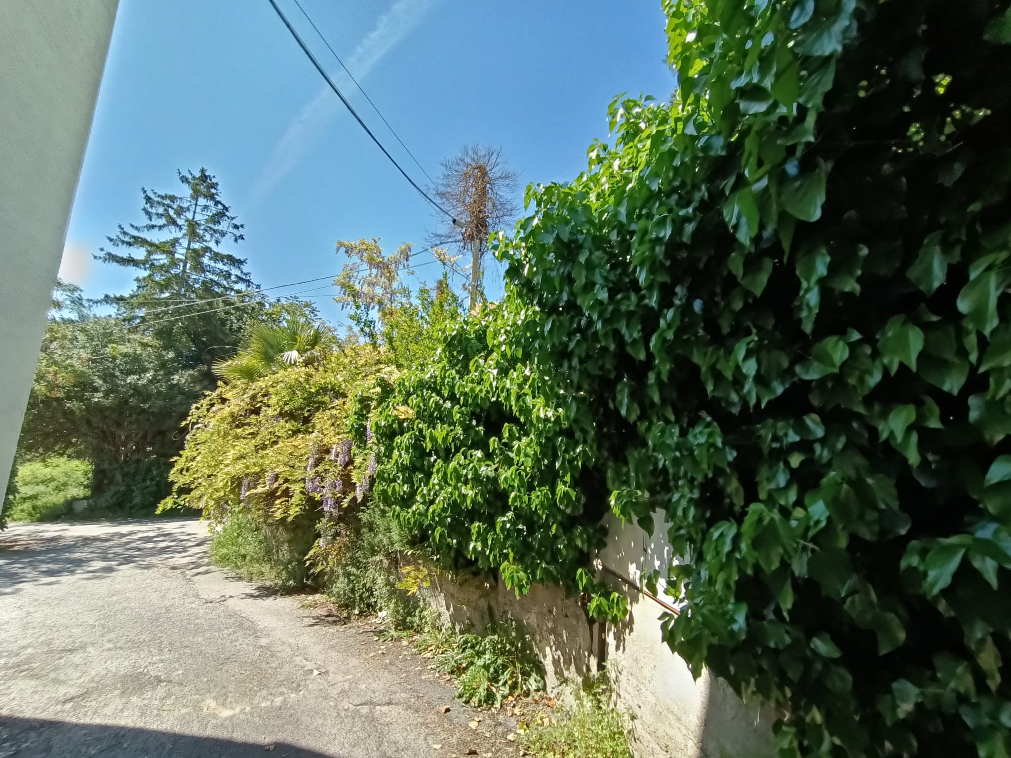 properties