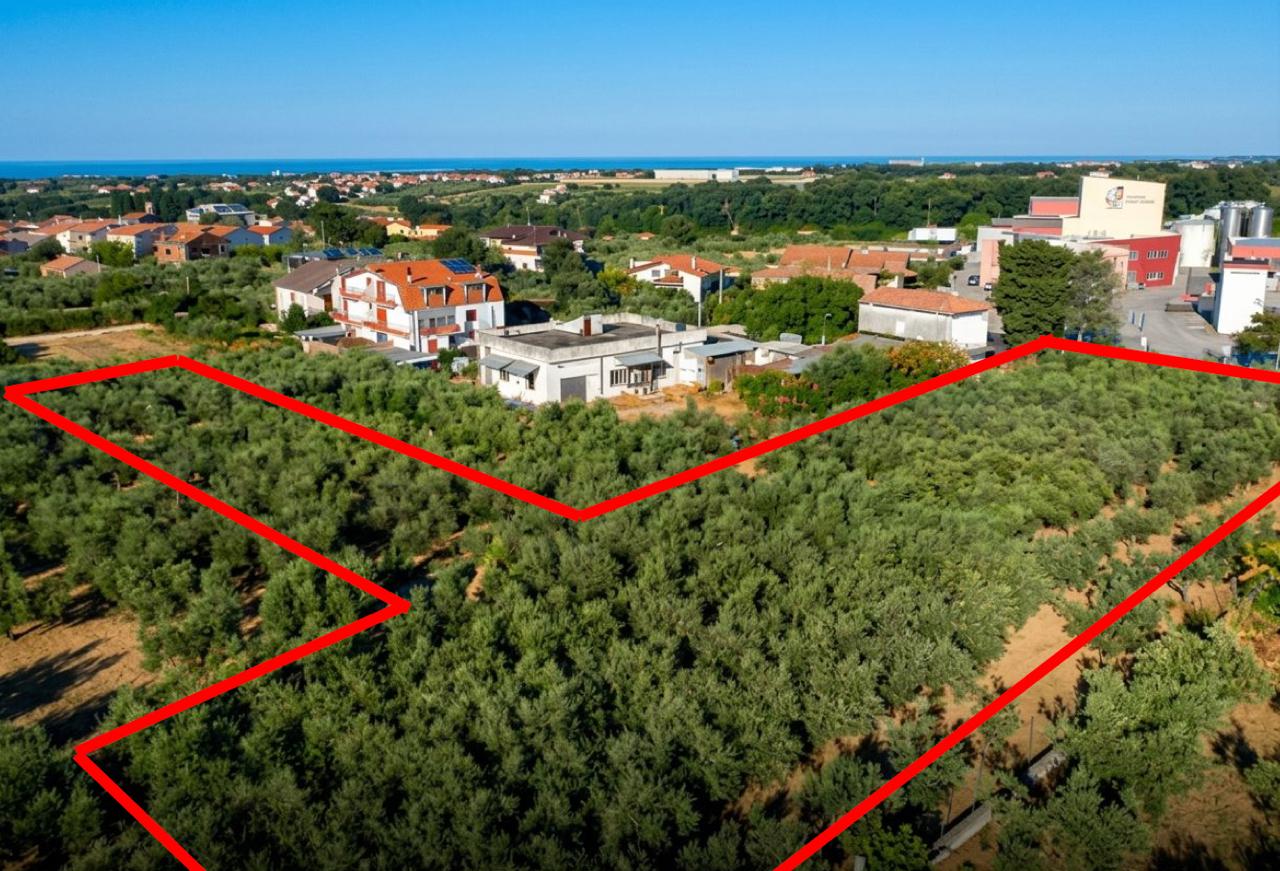 properties