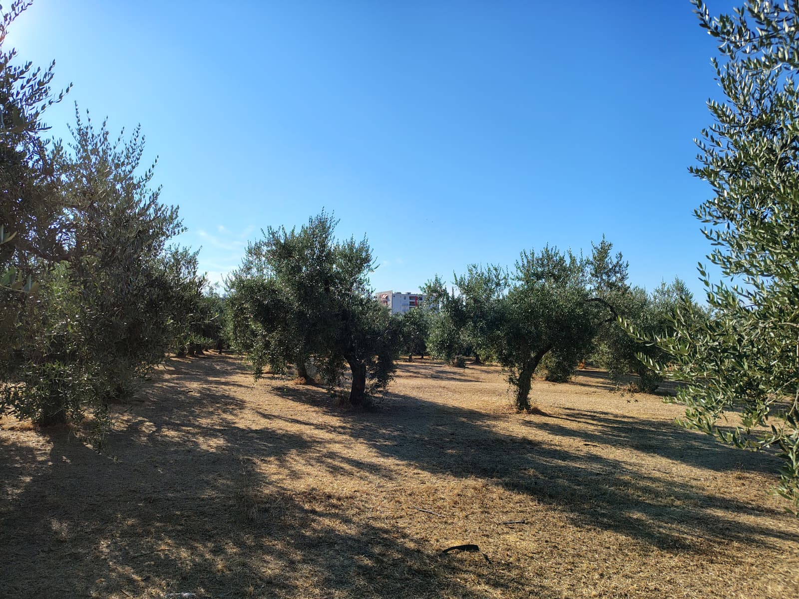 properties