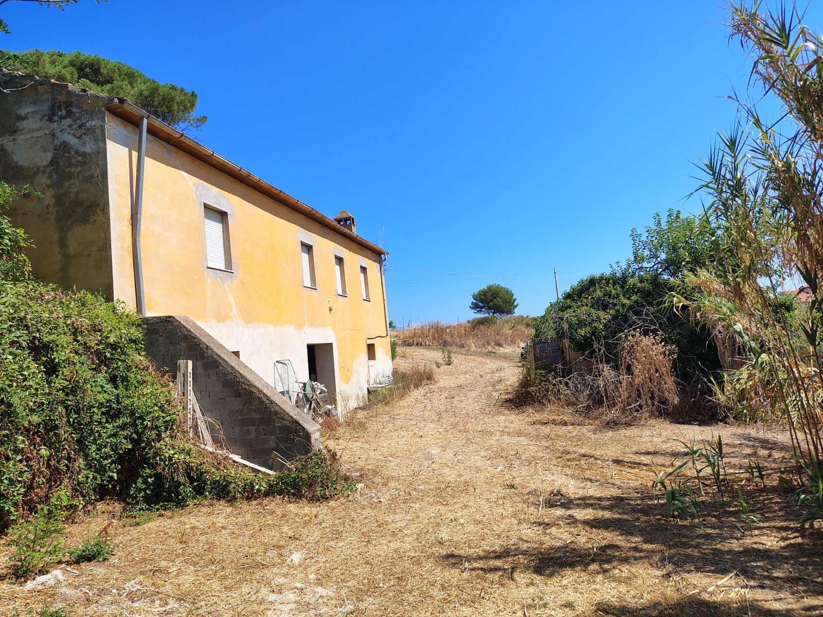properties