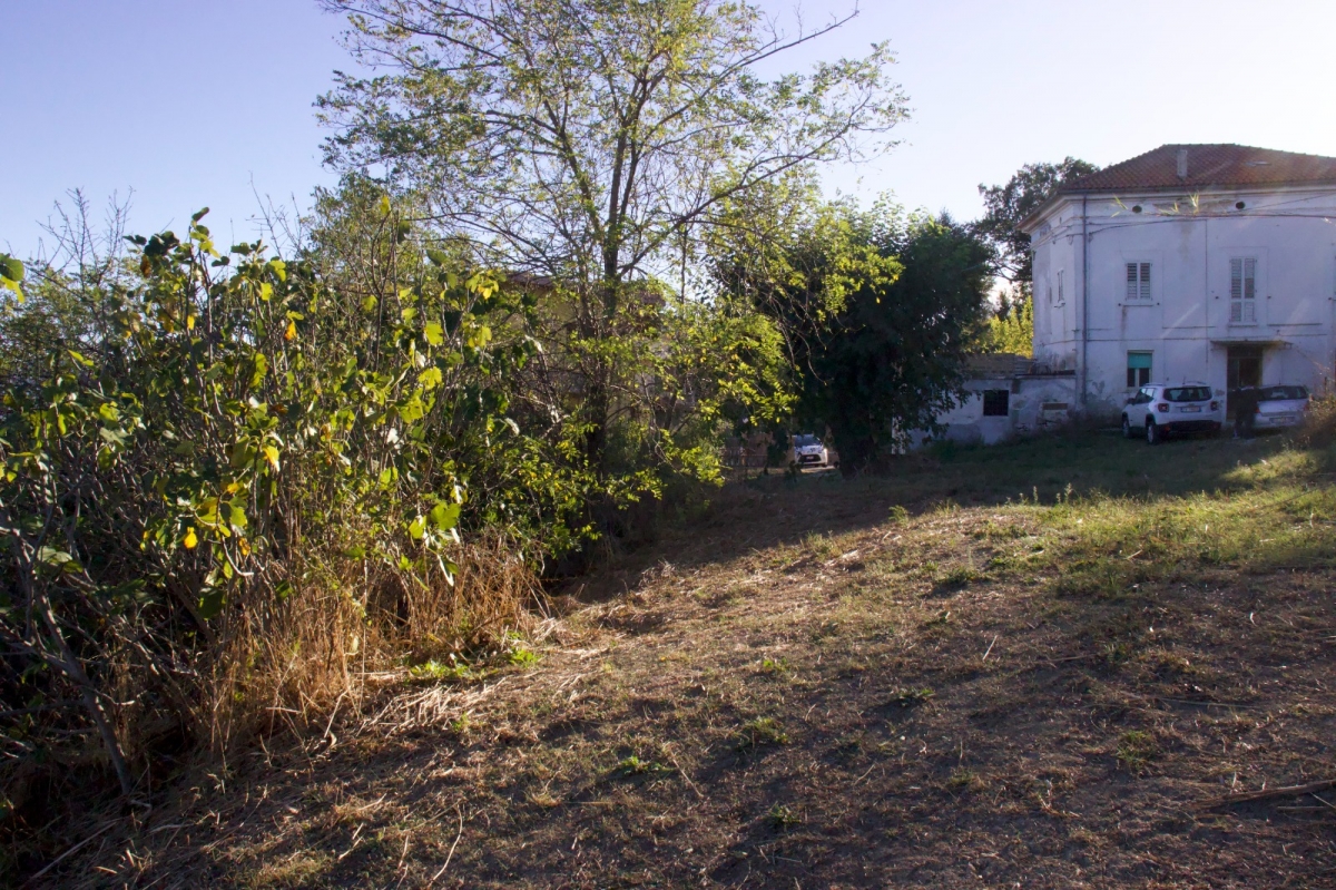 properties